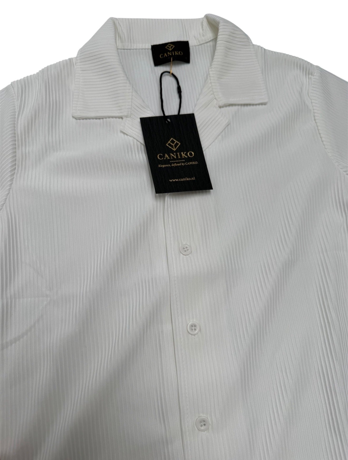 Ribbed Button-Up Blouse